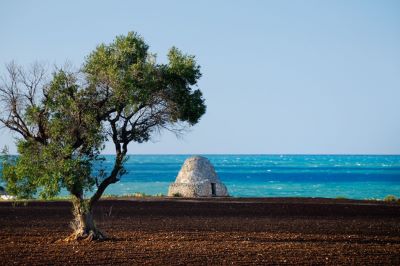 Trullo sul Mare !!.jpg